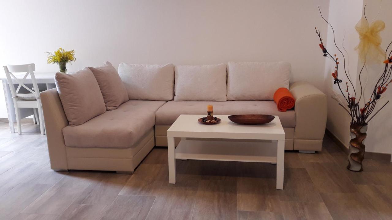 Apartment Nena- Apartman Sa Posebnim Ulazom U Prizemlju, Terasom I Zelenom Okucnicom Rakotule Exterior foto
