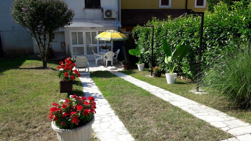 Apartment Nena- Apartman Sa Posebnim Ulazom U Prizemlju, Terasom I Zelenom Okucnicom Rakotule Exterior foto